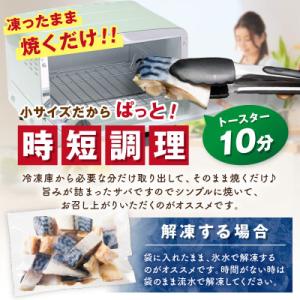 ふるさと納税 京丹後市 【訳あり 塩さば】魚屋...の詳細画像3