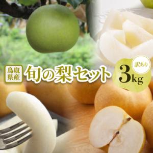 ふるさと納税 智頭町 【訳あり】鳥取県産旬の梨 3kg