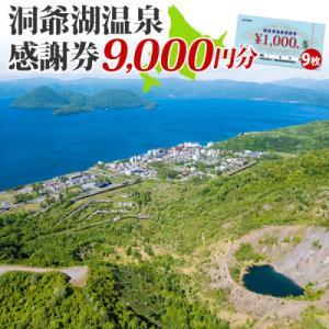 ふるさと納税 洞爺湖町 洞爺湖温泉感謝券 9,000円分 北海道 洞爺湖町