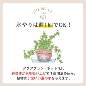 ふるさと納税 知立市 アクアプラントポット 玉...の詳細画像2