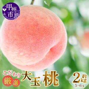 ふるさと納税 甲州市 【2026年7月上旬より発送予定】甲州市産厳選旬の桃大玉 約2kg 5〜6玉入り