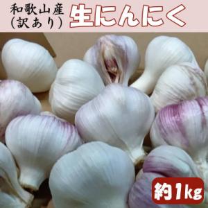 ふるさと納税 海南市 和歌山県産生にんにく約1kg　ご家庭用(海南市)
