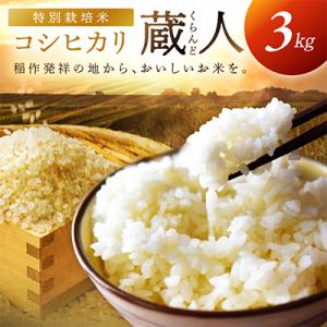ふるさと納税 京丹後市 【農家直送】令和8年産 特別栽培米コシヒカリ 蔵人(くらんど) 精米3kg