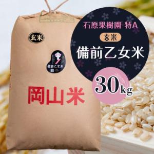 ふるさと納税 高梁市 【石原果樹園】備前乙女米　玄米30kg×1袋(BOB30-1)