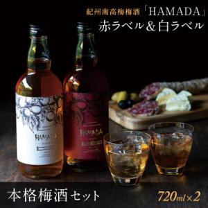 ふるさと納税 錦江町 【数量限定】白玉醸造 魔王入り梅酒セット 4026-4