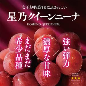 ふるさと納税 津山市 【三つ星ブランド】星乃ク...の詳細画像1