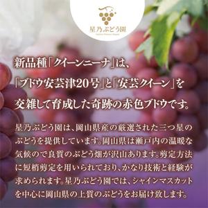 ふるさと納税 津山市 【三つ星ブランド】星乃ク...の詳細画像2