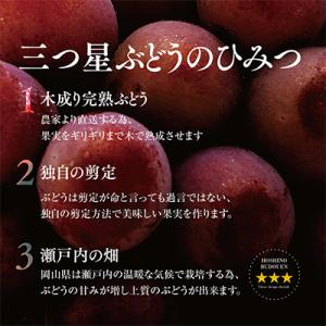 ふるさと納税 津山市 【三つ星ブランド】星乃ク...の詳細画像3