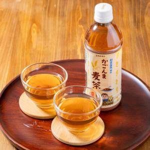 ふるさと納税 垂水市 かごんま麦茶 500ml...の詳細画像3