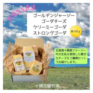ふるさと納税 帯広市 ゴールデンジャージー ゴーダ&amp;クリーミーゴーダ&amp;ストロングゴーダ　各100g