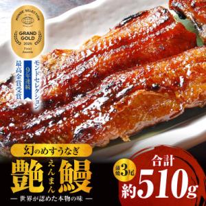 ふるさと納税 西尾市 三河一色産　幻のめすうなぎ艶鰻　蒲焼3尾・T117