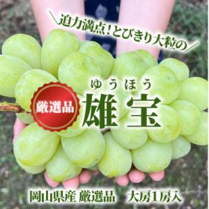 ふるさと納税 津山市 大粒葡萄の「雄宝(ゆうほう)」厳選品 1房/700g〜(岡山県産)
