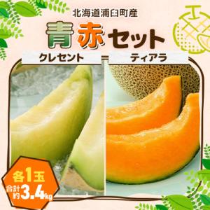 ふるさと納税 浦臼町 【令和8年産先行予約】大玉メロン青赤セット(青肉クレセント・赤肉ティアラ)各1...