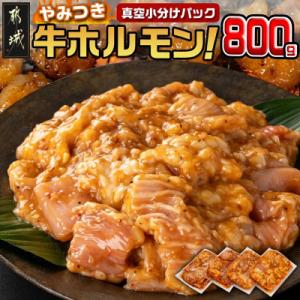 ふるさと納税 都城市 やみつき牛ホルモン800g!(真空小分け)