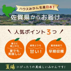 ふるさと納税 大町町 佐賀産ハウスみかん約2k...の詳細画像1