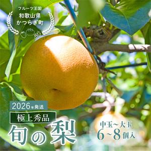 ふるさと納税 新宮市 先行予約!　旬の梨　極上秀品(中玉〜大玉)6〜8個入り　2026年8月中旬頃から発送