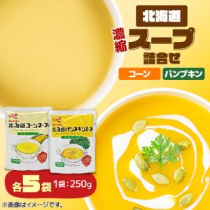 ふるさと納税 伊達市 【食べ比べセット】北海道　濃縮スープ詰め合わせ コーン・パンプキン　各5袋