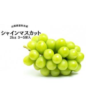 ふるさと納税 笛吹市 葡萄の一大産地!笛吹市産シャインマスカット　2kg(計3〜5房)