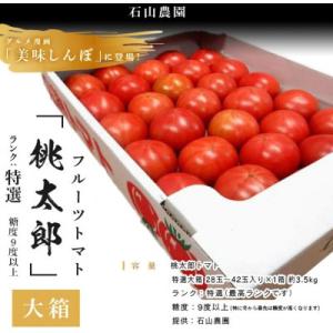 ふるさと納税 掛川市 【先行受付2027年発送】美味しんぼに登場　トマト「桃太郎」大箱 28玉〜42...