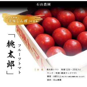 ふるさと納税 掛川市 【先行受付2027年発送】美味しんぼに登場　トマト「桃太郎」大箱 12玉〜20...