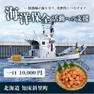 ふるさと納税 斜里町 【海洋保全活動への支援】サイコロサーモンのお礼品付き。知床の鮭漁師が海を守り、...