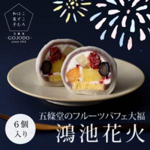 ふるさと納税 東大阪市 《6個入り》五條堂(GOJODO)のフルーツパフェ大福「鴻池花火」　ーこころ...