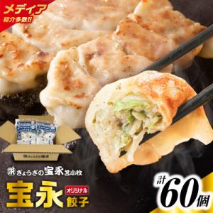 ふるさと納税 苫小牧市 手包み餃子 ぎょうざの宝永 宝永餃子60個セット(宝永餃子15個入×4袋)