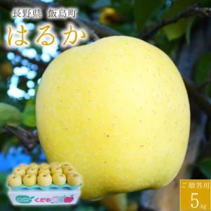 ふるさと納税 飯島町 【桃沢晴香園】はるか(りんご)5kg