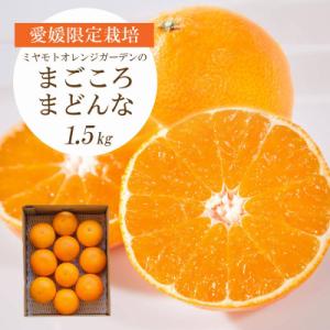 ふるさと納税 八幡浜市 【2025年11月より順次発送】紅まどんな と同品種 愛媛果試28号 1.5...
