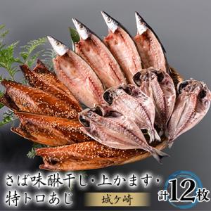 ふるさと納税 伊東市 12枚入干物セット【城ヶ崎】特トロあじ・さばの味醂干し・上かます　各4枚伊豆・...
