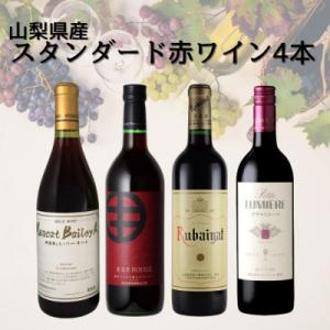 ふるさと納税 山梨県 山梨県産スタンダードワイン赤4本セット(1)015