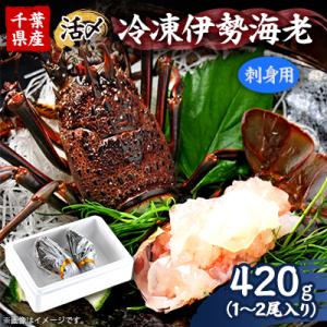 ふるさと納税 いすみ市 刺身用活〆冷凍伊勢海老420g