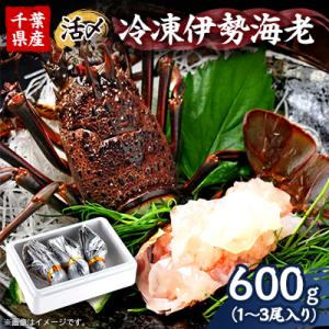ふるさと納税 いすみ市 活〆冷凍伊勢海老600g
