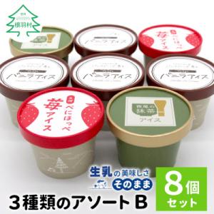 ふるさと納税 根羽村 3種類のアソートB　8個セット バニラアイスクリーム　紅ほっぺいちごアイス　西...