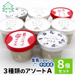 ふるさと納税 根羽村 3種類のアソートA　8個セット 生ソフトクリームアイス ブルーベリーアイス 紅...