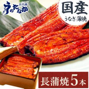 ふるさと納税 磐田市 浜名湖・うなぎのたなかの長蒲焼き5本セット!ふっくら柔らか♪国産うなぎ長蒲焼※...