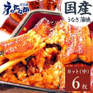 ふるさと納税 磐田市 浜名湖・うなぎのたなかのふっくら柔らか♪国産うなぎカット蒲焼(中)6枚※合計5...