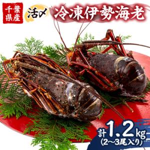 ふるさと納税 いすみ市 活〆冷凍伊勢海老 1.2kg