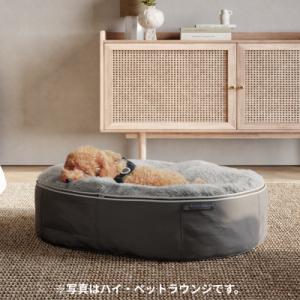 ふるさと納税 足利市 【アンビエントラウンジ】...の詳細画像3