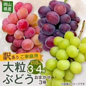 ふるさと納税 浅口市 【2026年9月末より発送】訳あり大粒ぶどう3種セット(シャインマスカット・ピオーネ等3種おまかせ)