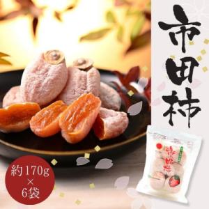 ふるさと納税 豊丘村 【南信州産】市田柿　家庭用　約170g×6袋