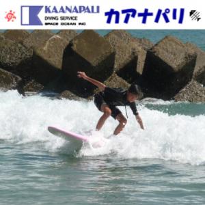 ふるさと納税 海陽町 《サーフボード1日レンタル/1枚》徳島最南端の海　海陽町でマリンスポーツを楽し...