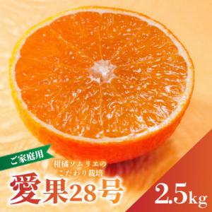 ふるさと納税 松山市 【先行予約】愛果28号 約2.5kg 家庭用 訳あり 紅まどんな同品種
