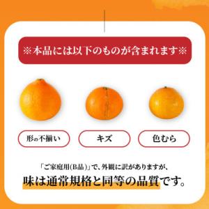 ふるさと納税 松山市 【先行予約】愛果28号 ...の詳細画像2