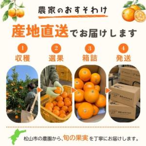 ふるさと納税 松山市 【先行予約】愛果28号 ...の詳細画像3