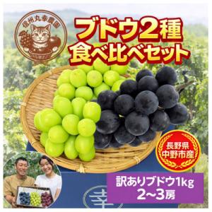 ふるさと納税 中野市 長野県中野市産のぶどう　2種食べ比べセット　計1kg(2〜3房)