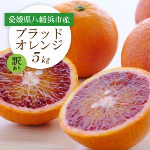 ふるさと納税 八幡浜市 【2026年発送】愛媛県八幡浜市産 ブラッドオレンジ(タロッコ)5kg【訳あ...