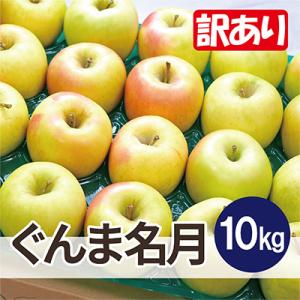 ふるさと納税 黒石市 【26年11月から順次発送】平均糖度13度以上! ぐんま名月 約10kg 訳あり 青森県産 りんご