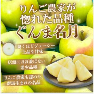 ふるさと納税 黒石市 【26年11月から順次発...の詳細画像1