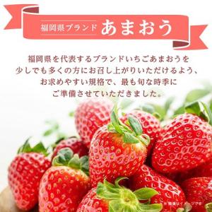 ふるさと納税 遠賀町 【数量限定】【2027年...の詳細画像1